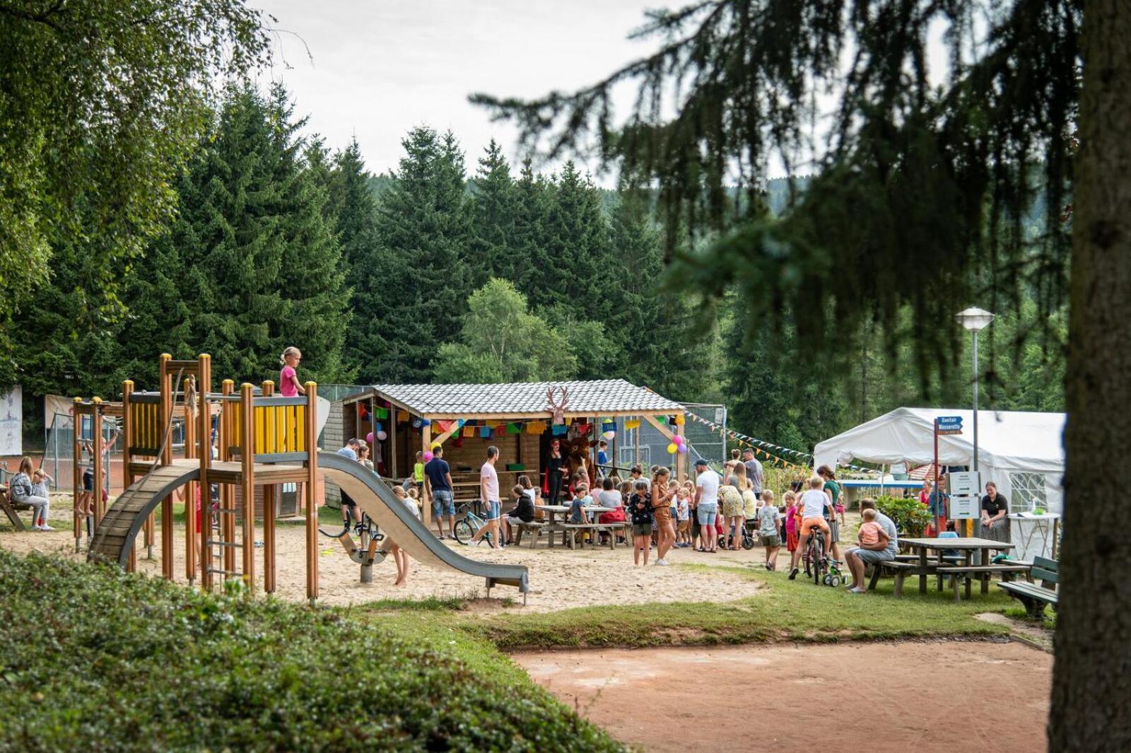 Petite Suisse Camping *